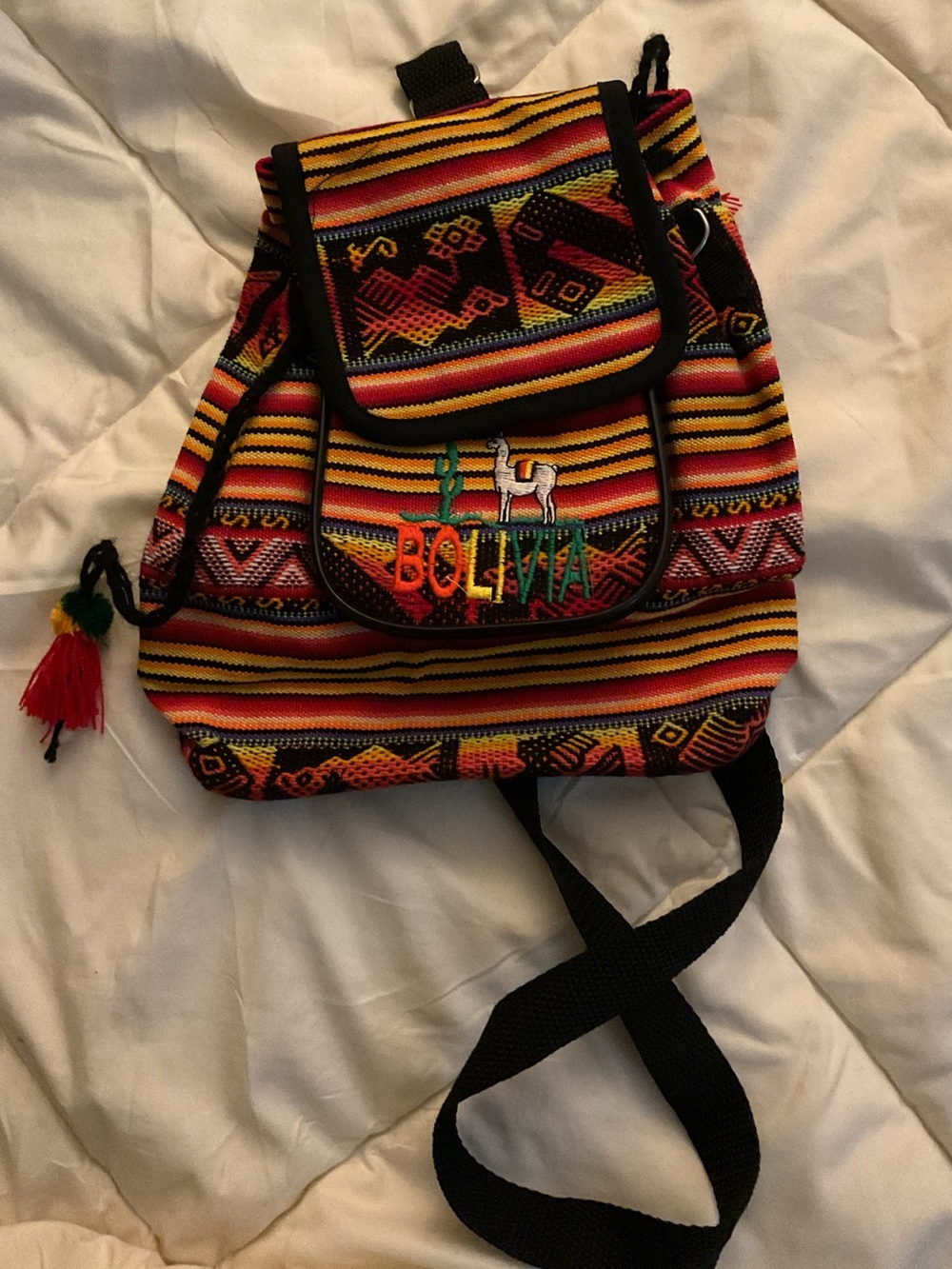 Bolivia Embroidered Multicolor Women's Mini Backpack